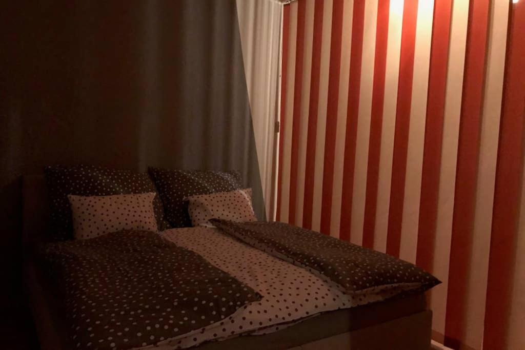 Apartman Quattro Sokolov Kültér fotó